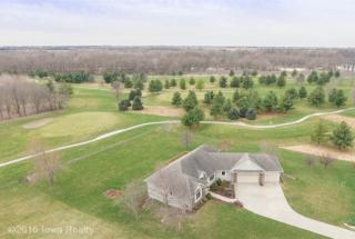 23110 Valley View Trl, Adel, IA 50003-4437