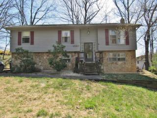 1030 Flint Dr, Christiansburg, VA 24073-3736
