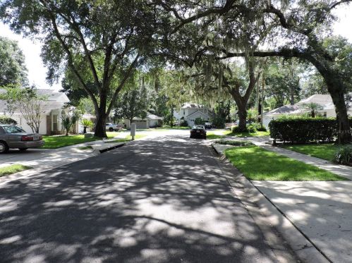 973 Piedmont Oaks Dr, Apopka, FL 32703-3418