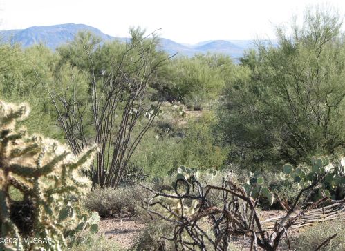 1921 Tilting T Pl, Tucson AZ 85713-6751 exterior