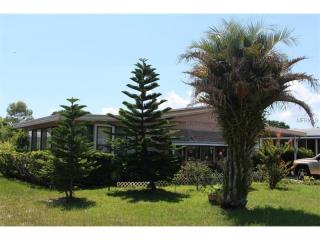 1440 Nassau Cir, Tavares, FL 32778-2523