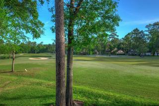 6 Dunloggin Ln, Spring TX  77380-1309 exterior