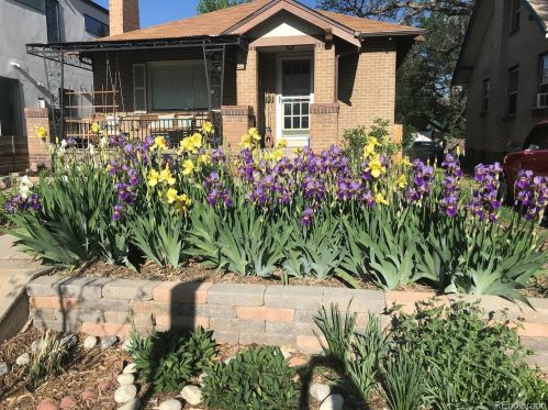 1555 Jackson St, Denver CO 80206-1921 exterior