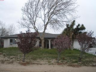 9538 Riggins Rd, Phelan, CA 92371-8478