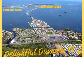 1544 Lynda Ln, Dunedin, FL 34698-4866