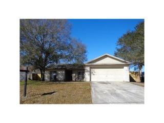 13313 Hollowbend Ln, Riverview, FL 33569-5760