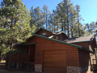 3837 Turkey Track Rd, Pinetop, AZ 85935-8694