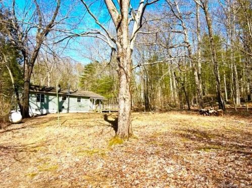 43 Corkscrew Rd, Barryville, NY 12719-5207