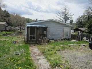 296 Lake Rd, Susquehanna, PA 18847-7338