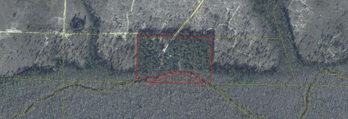 418 Magnolia Lodge Rd, Freeport, FL 32439-5548