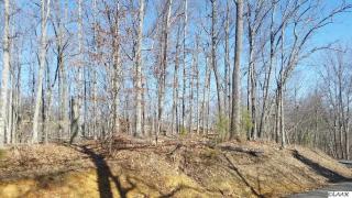 1409 Echota Ln, Mooresburg, TN 37811-2683
