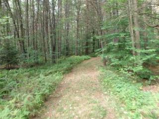 36 Gabriel Rd, Palmer, NY 12822-1804