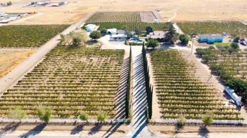 9220 Avenue, Lancaster, CA 93535-7934