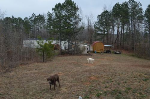 4119 Coosa County Road 459, Rockford, AL 35136-5200