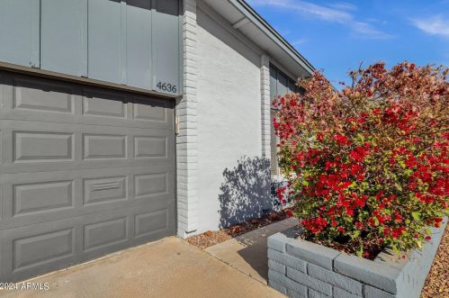 4636 Michelle Dr, Glendale AZ  85308-1519 exterior