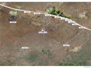 541 Peenpack Trl, Sparrowbush, NY 12780-5109