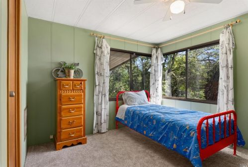 675 Starr Dust Ct, Lakeport CA  95453-6976 exterior
