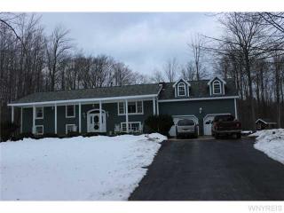 52 Shore Dr, Townline, NY 14004-9204