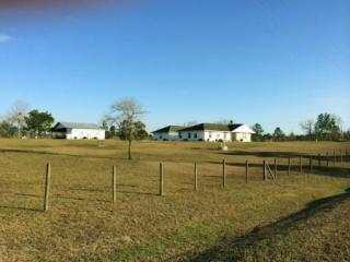 12251 58th Ln, Morriston, FL 32668-3621