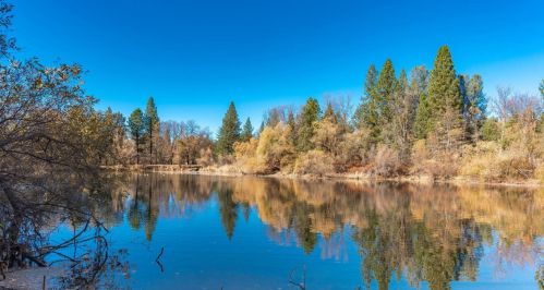 19875 Highway 26, West Point, CA 95255-9713