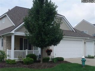 7123 Morning Star Trl, Macedonia, OH 44067-3500