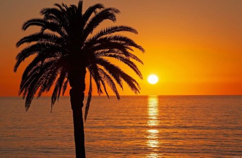 922 Cordova St, San Diego CA 92107-4224 exterior