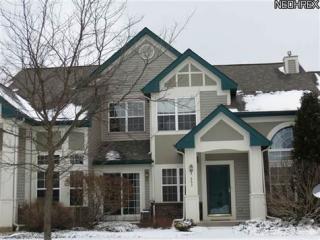 553 Azalea Cir, Macedonia OH  44067-3047 exterior