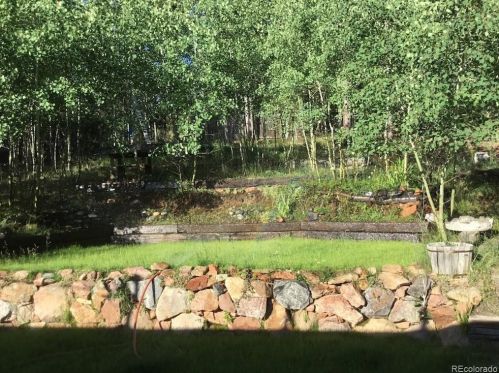 9123 Gray Ln, Conifer, CO 80433-9503