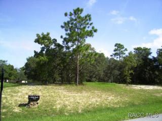 3475 Pebble Beach Ct, Lecanto FL  34461-7774 exterior