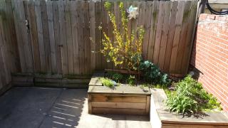 1052 Tree St, Philadelphia PA  19148-3013 exterior