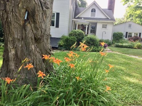 12 Highland Ave, Walden NY  12586-1402 exterior