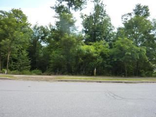 809 Parkview Rd, Spring Brook Township, PA 18444-5135