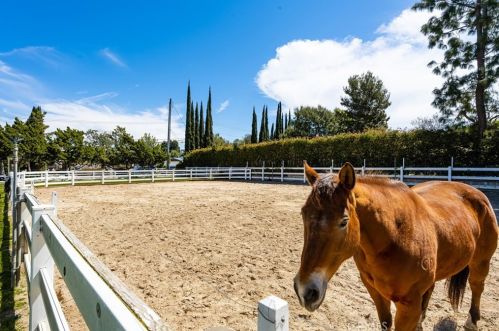 11389 Orange Park Blvd, Orange CA  92869-2118 exterior