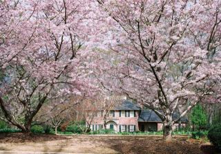 5405 Woodland Forrest Dr, Tuscaloosa, AL 35405-5641