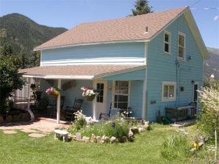 53 Park Ave, Empire, CO 80438