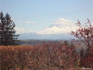 13630 Military Rd, Puyallup, WA 98374-4659