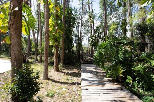 5729 Sweet Cherry Ln, Land O Lakes FL  34639-3447 exterior