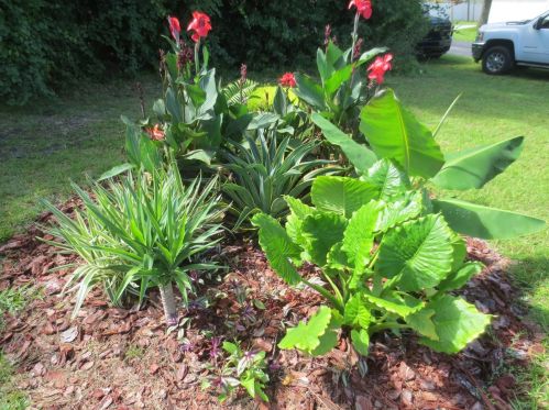 749 130th Terrace Rd, Silver Springs FL  34488-3528 exterior