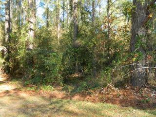 3359 Thornblade Dr, Florence SC  29501-8048 exterior