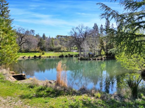 18403 Indian Springs Rd, Lake Wildwood, CA 95946-9325