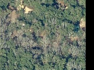 7237 Econfina Estates Rd, Youngstown, FL 32466-1801
