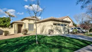 3766 Bruce Ct, Gilbert, AZ 85234-4352