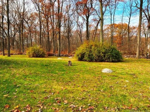 90 Pineridge Dr, Waterbury CT  06716-3134 exterior