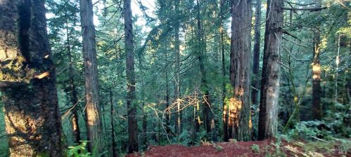 43400 Iversen Rd, The Sea Ranch CA  95445-7582 exterior