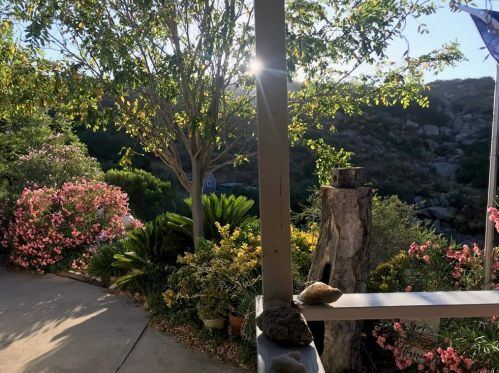 890 Park Pl, El Cajon CA  92021-4300 exterior