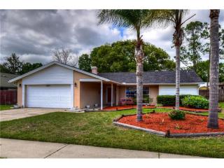 2324 Southern Lites Ave, Lutz, FL 33549-5859