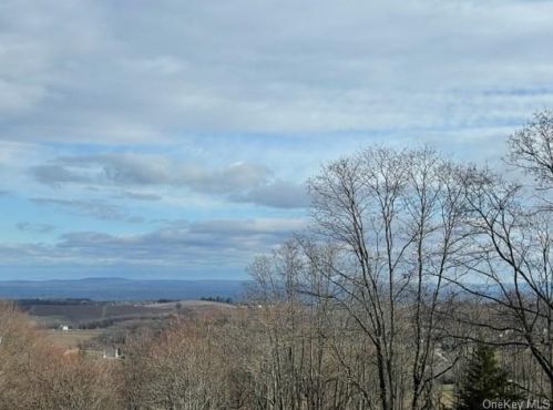 172 Mount Zion Rd, Marlborough, NY 12542-5003