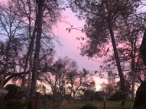 14804 Oak Ridge Rd, Lake Wildwood CA  exterior