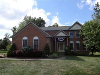 9179 Davis Way, Twinsburg, OH 44087-3209
