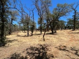 6321 Upper Palermo Rd, Oroville CA  95966-9017 exterior